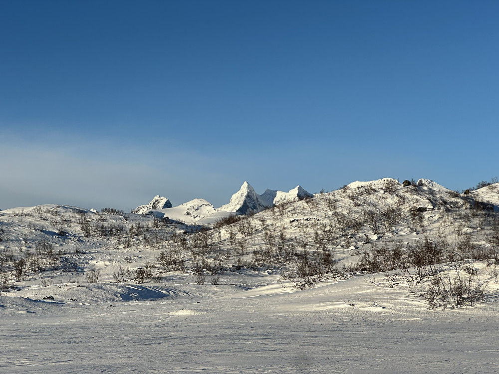 Vakre Øytjørni