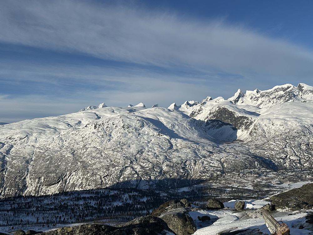 Den freda furuskogen ved Vetti