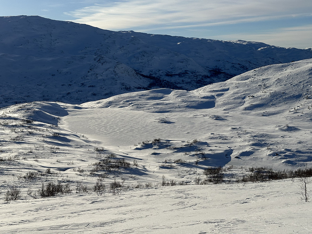 Tjernet