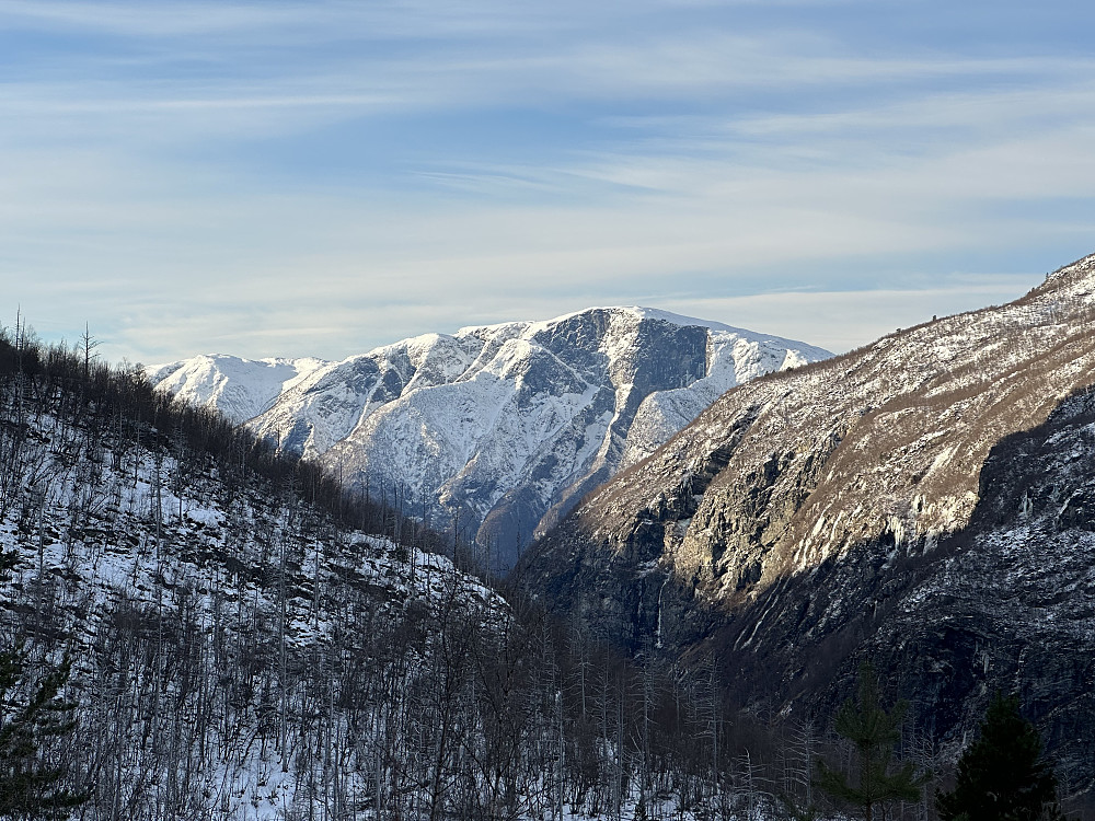 Bøttejuv