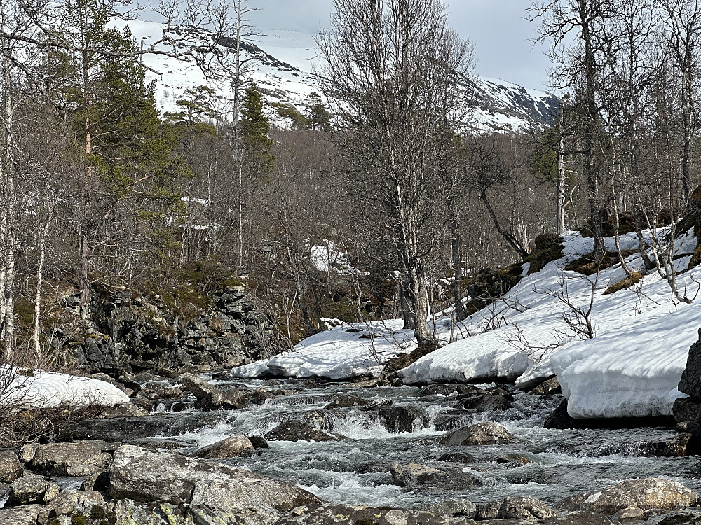 Morka-koldedalselvi