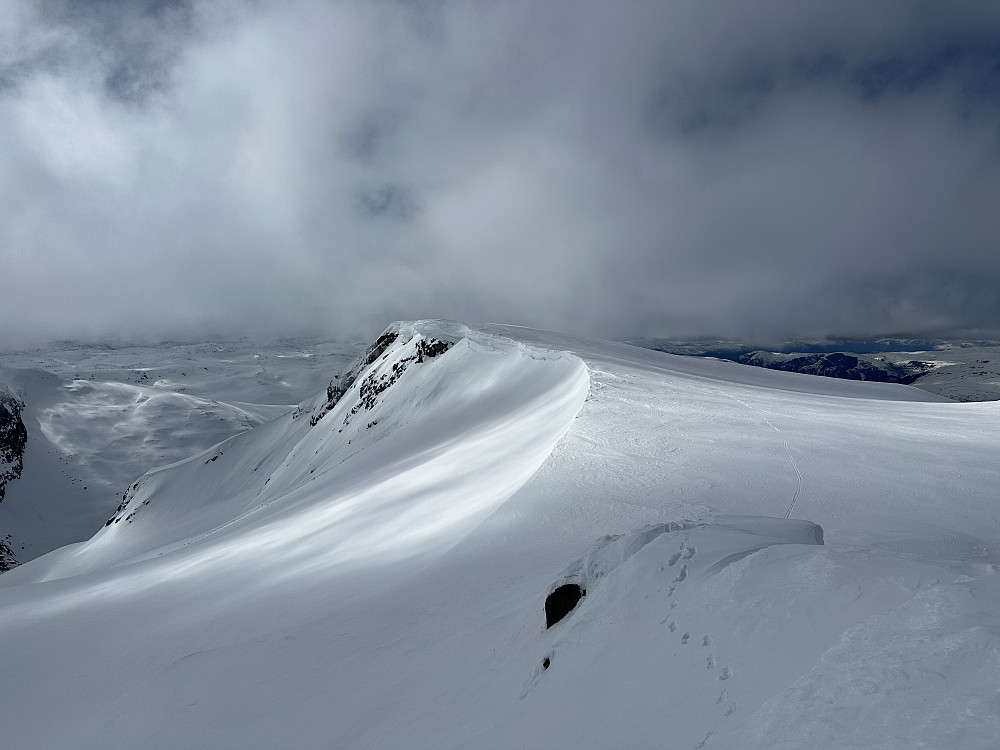 Stølsnose