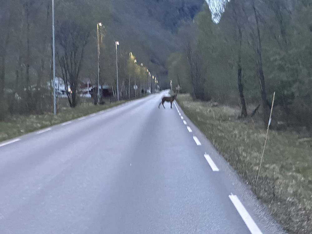 Morgen i Utladalen