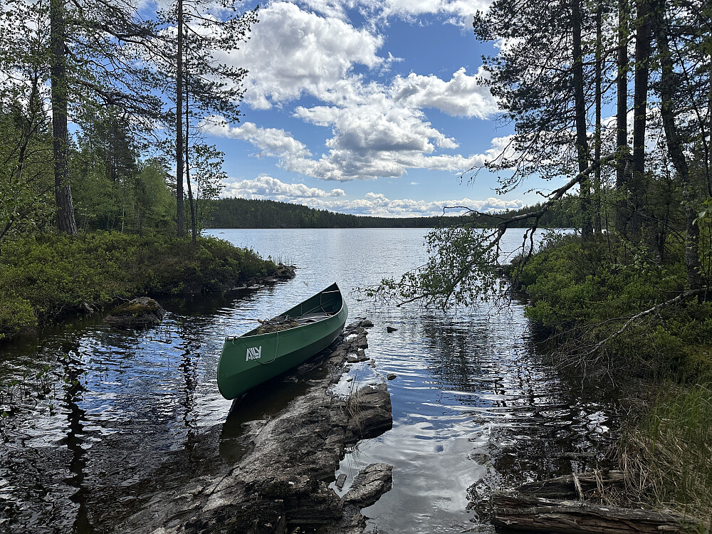 Ved nordenden