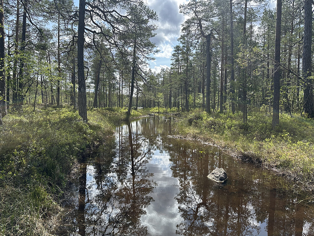Fint å padle retning Bjørnesjøen