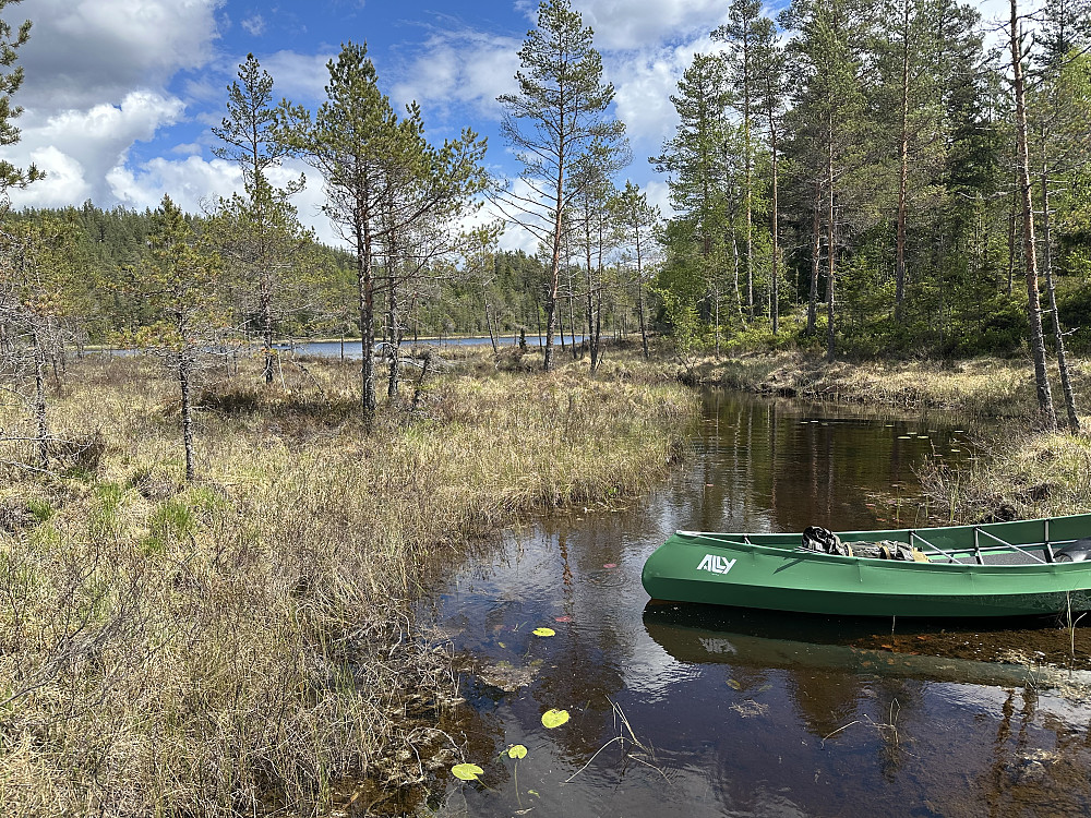 Flotte padlebekken ved Midtre Fløyta 