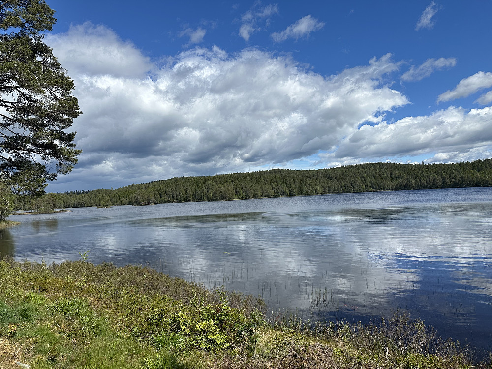 Avtjern