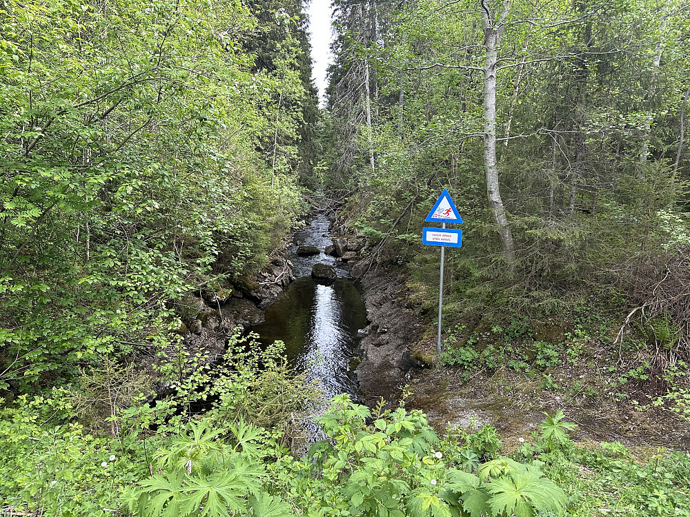 Fra demningen