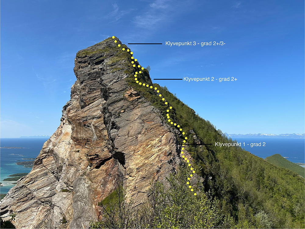 Oversikt over klyvinga