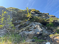 Henriksen_20250629_6861978674ab4.jpeg