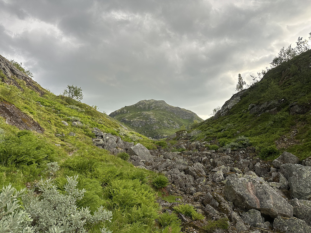 En flott dag. Snørestrødet bak