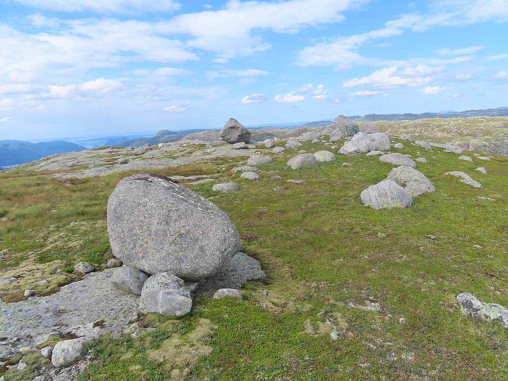 Høgehei