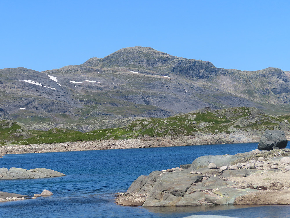 Fitjanuten