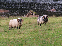 ohaugen_20210930_615570d364de3.jpg