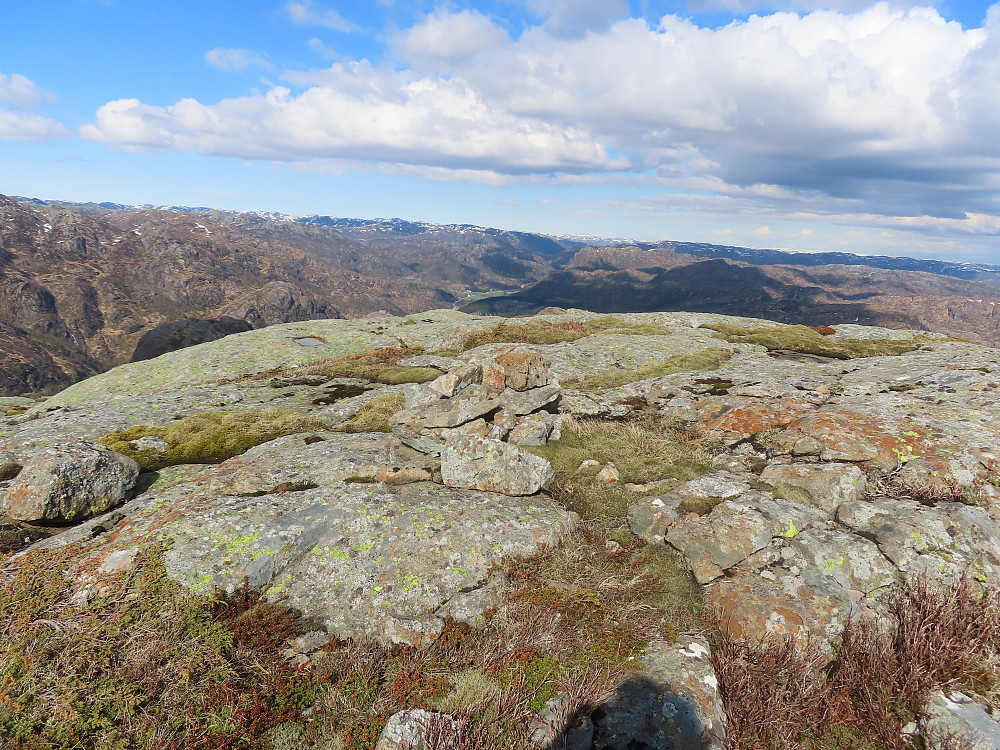 Gystølheia