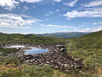 JonnyA_20210719_60f57ecaaaf54.jpg