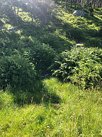 JonnyA_20210719_60f57ecd4f1e5.jpg
