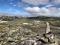 JonnyA_20220711_62cc23656a313.jpg