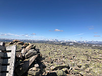JonnyA_20220728_62e2ad226942b.jpg