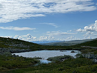 JonnyA_20230801_64c9123111431.jpg