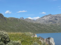 JonnyA_20240725_66a279ab97cd1.jpg