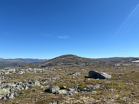 JonnyA_20240812_66ba5d70e6630.jpg