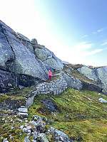JonnyA_20240905_66d9b2719527e.jpg