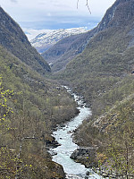 JonnyA_20250427_680e247ab1913.jpg