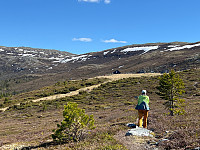 JonnyA_20250518_6829d94b76400.jpg