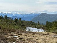 JonnyA_20250603_683eea6893b79.jpg