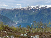 JonnyA_20250603_683eea690fe2c.jpg