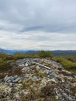 JonnyA_20250603_683eea698976a.jpg