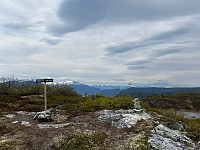 JonnyA_20250603_683eea6b7a700.jpg