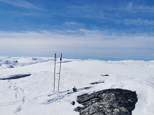 Toppen av Rekkingeskara, 1590 moh.