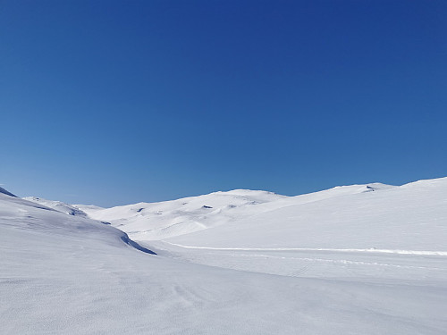 Kom noe overraskende inn på en oppkjørt løype oppe på fjellet oven for Reinsvatnet.