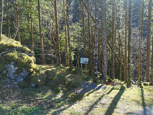 Stistart ved krysset Gjøvåg/Kaldafoss.