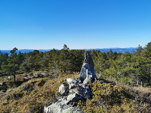Toppen av Gjøvågsvarden, 307 moh.