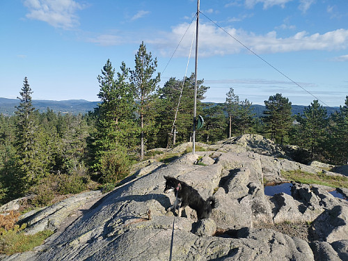 Topp-punktet på Kolsåstoppen, 379 moh.