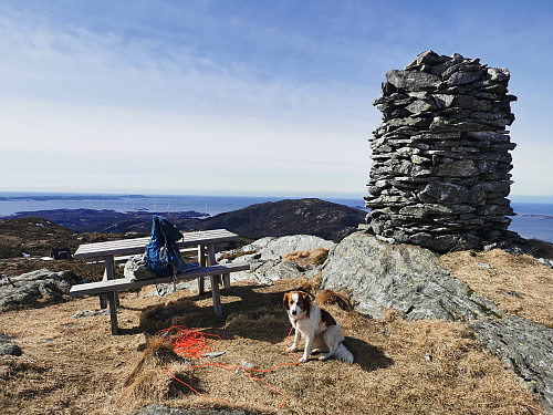 Toppen av Bygdeheia, 280 moh.