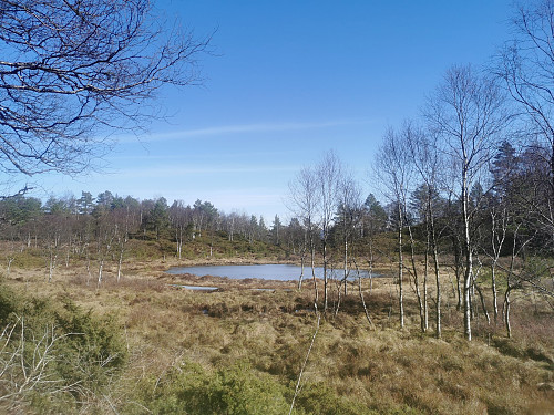 Et lite vann i Gossdalen.