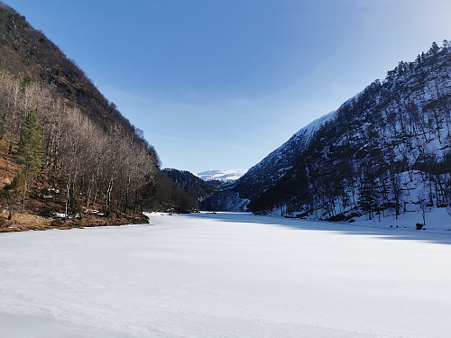 Hummelvatnet fortsatt dekket av is. (250 moh)