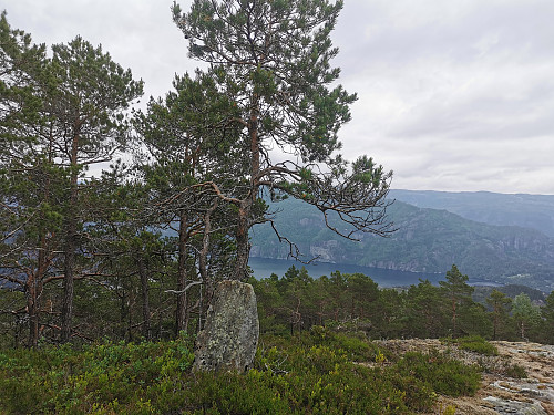 Toppen av Storgjelsknausen, 281 moh.