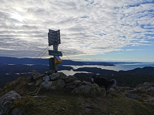 Toppen av Dalstuva, 336 moh.