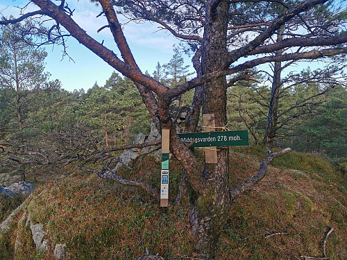 Middagsvarden, 278 moh. Lunsjplass omtrent halvveis.