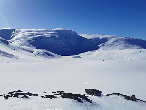 Dagens lunsjutsikt!