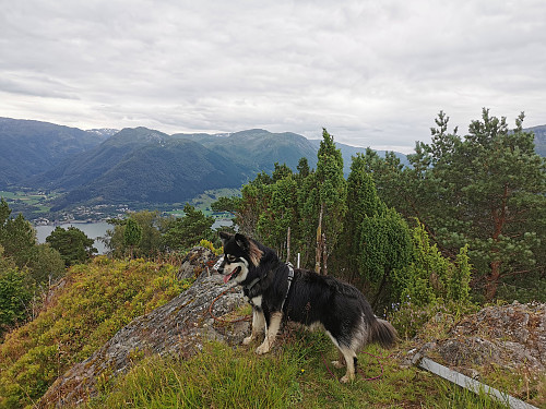 Toppen av Veten, 409 moh.