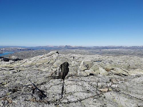 Toppen av Luranuten, 1649 moh.