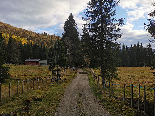 Nede ved Skeiset igjen, 450 moh.