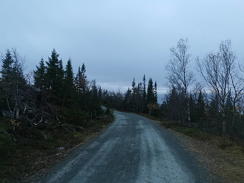 Rask, men våt retur via skogsveien.