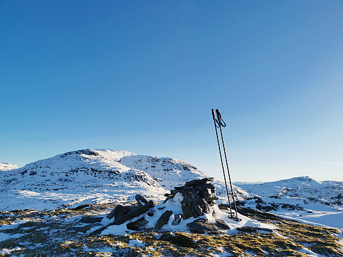 Toppen av Røyrfjellet, 916 moh. Såta/Iendafjellet bak.
